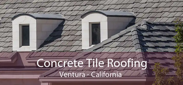 Concrete Tile Roofing Ventura - California 