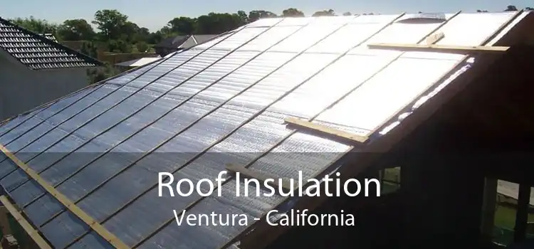 Roof Insulation Ventura - California 