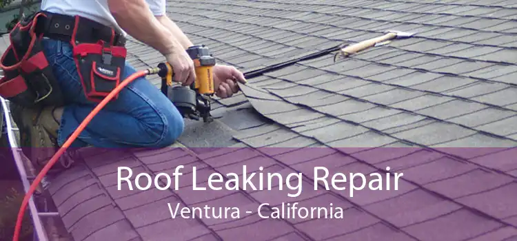 Roof Leaking Repair Ventura - California 