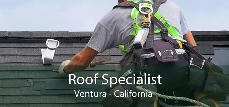 Roof Specialist Ventura - California 