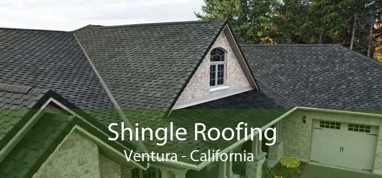 Shingle Roofing Ventura - California 