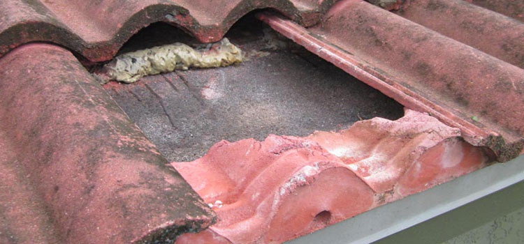 Concrete Ridge Tile Roofing Ventura